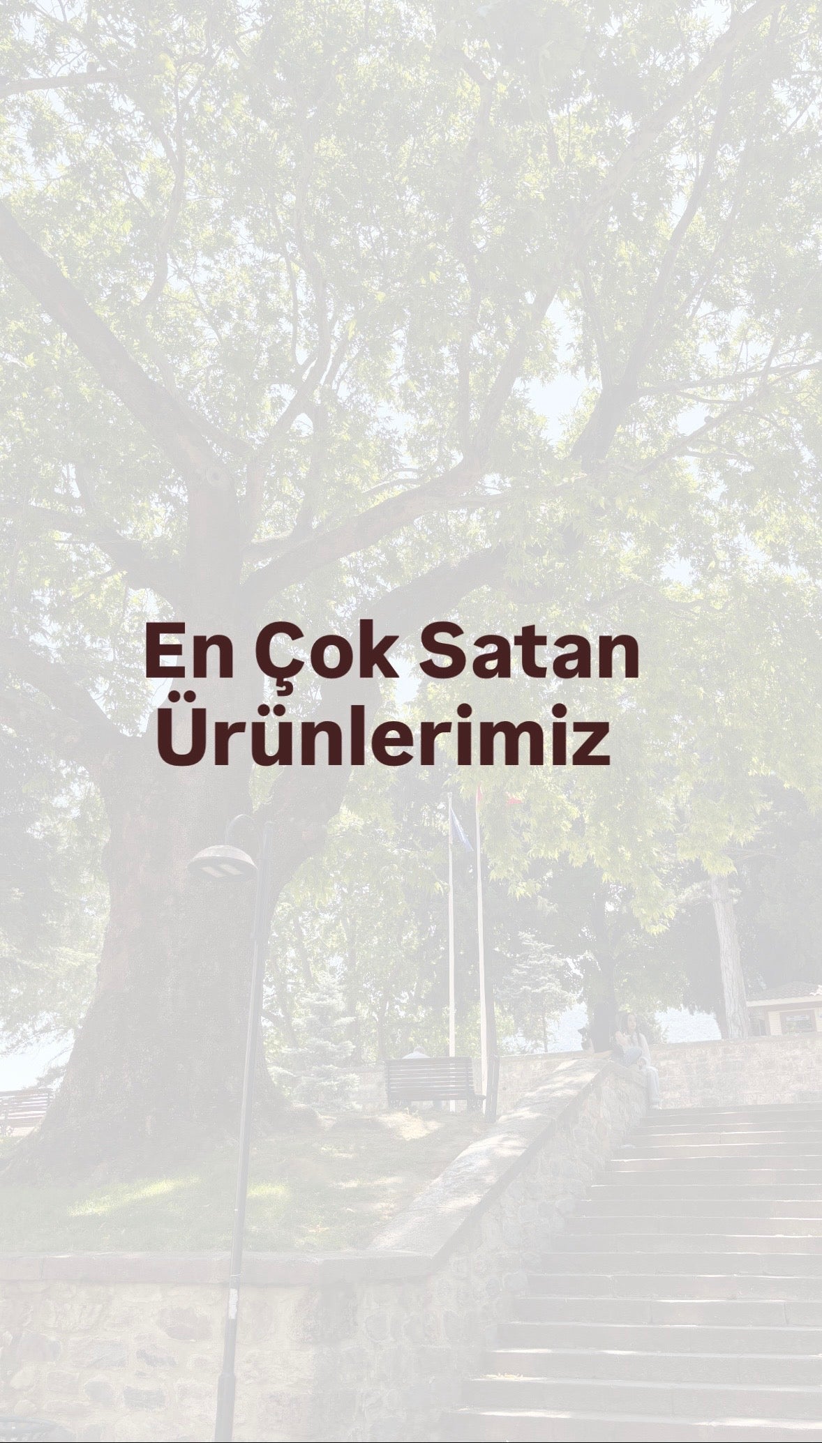 En Çok Satanlar